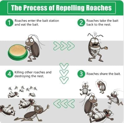 Anti Roach Gel - Cockroach Killer, Indoor Insect & Pest Control, Cockroach Repellent spray for Home,Kitchen, & Hotels (100% work) (6)