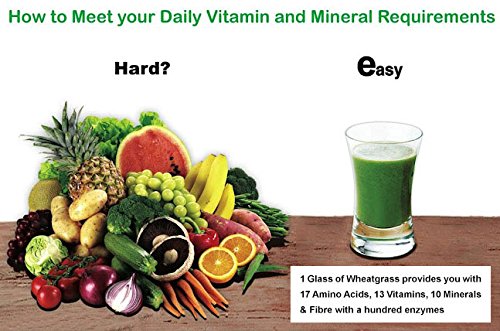 Go Organic Wheat Grass Powder Greens, Detox, Immune Support, Alkalize, whole leaf powder, vitamin K, Gluten Free, GMO Free, Kosher, wheatgrass 150g