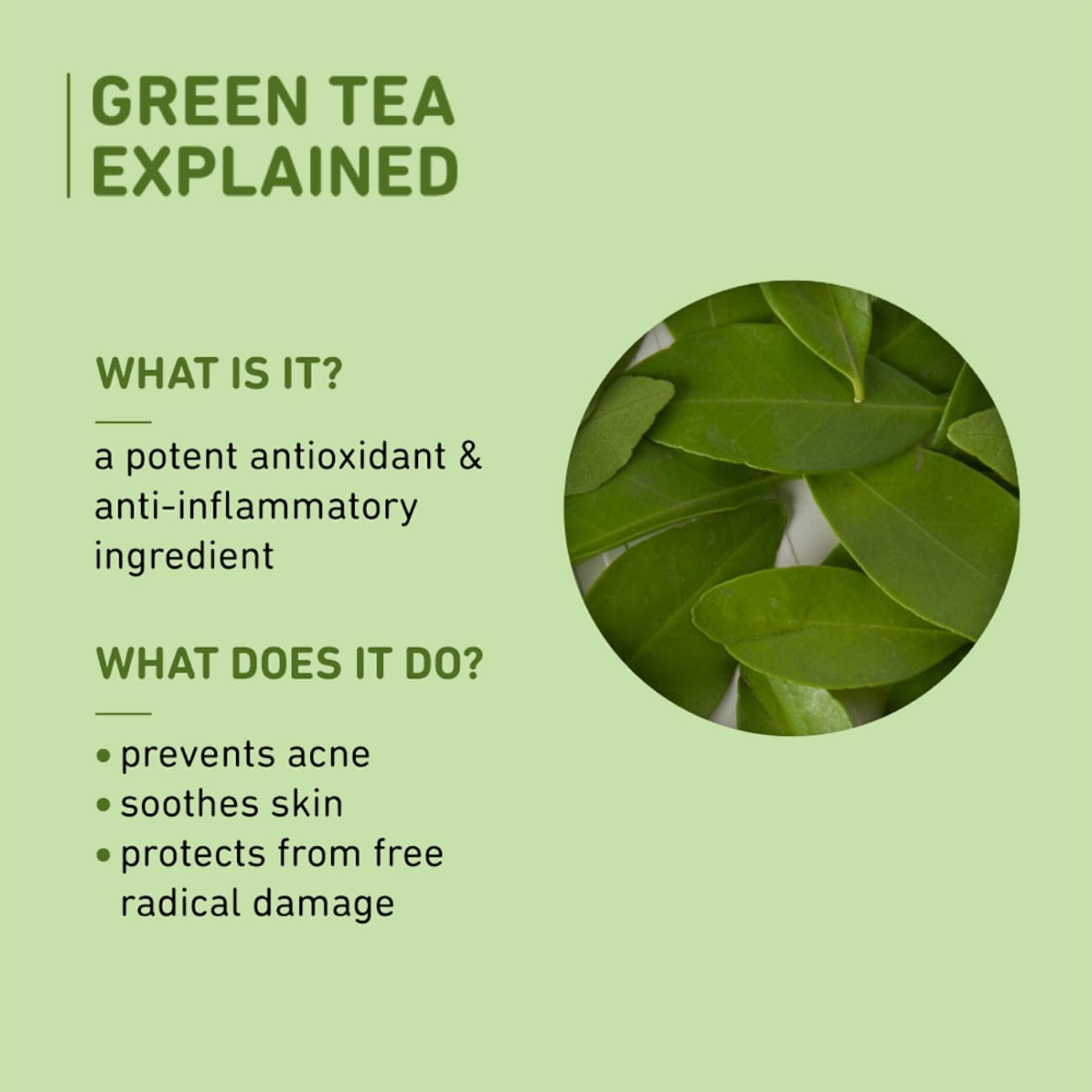 Plum Green Tea Oil-Free Face Moisturizer | With Niacinamide & Hyaluronic Acid | Fights Pimples & Hydrates | Fades Blemishes & Brightens Skin | Non-Sticky & Long-Lasting Moisturizer for Face | 50ml