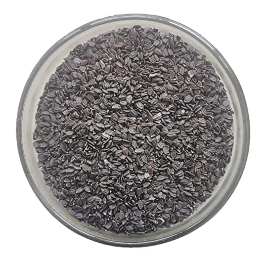 Kartik Export Mahabeera Seeds - Mahabeera Ginjalu - for Knee & Joint Pains - 500 Grams
