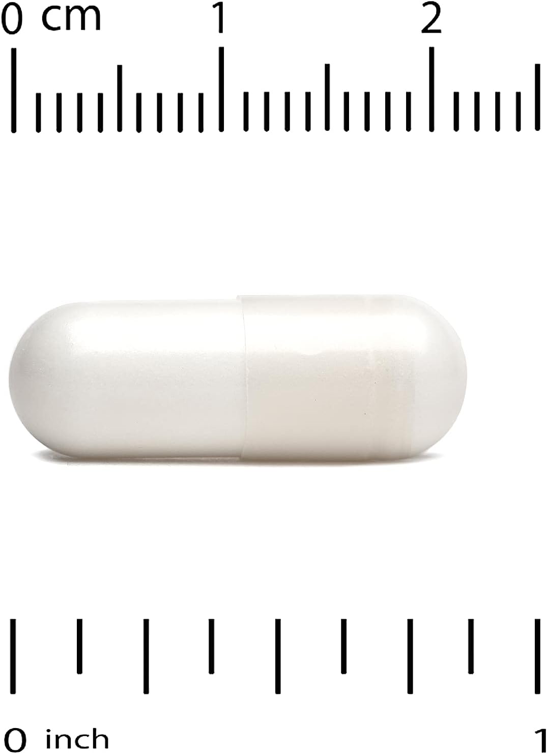 White oval object with a ruler for scale on a white background