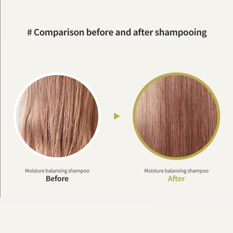 LADOR Korean Moisture Balancing Shampoo (100ml) | Gently Cleanses, Enhances Volume, Rejuvenates The Scalp, Suitable for Sensitive, Itchy Scalp, Dry, Damaged Hair, Vegan, Paraben Free