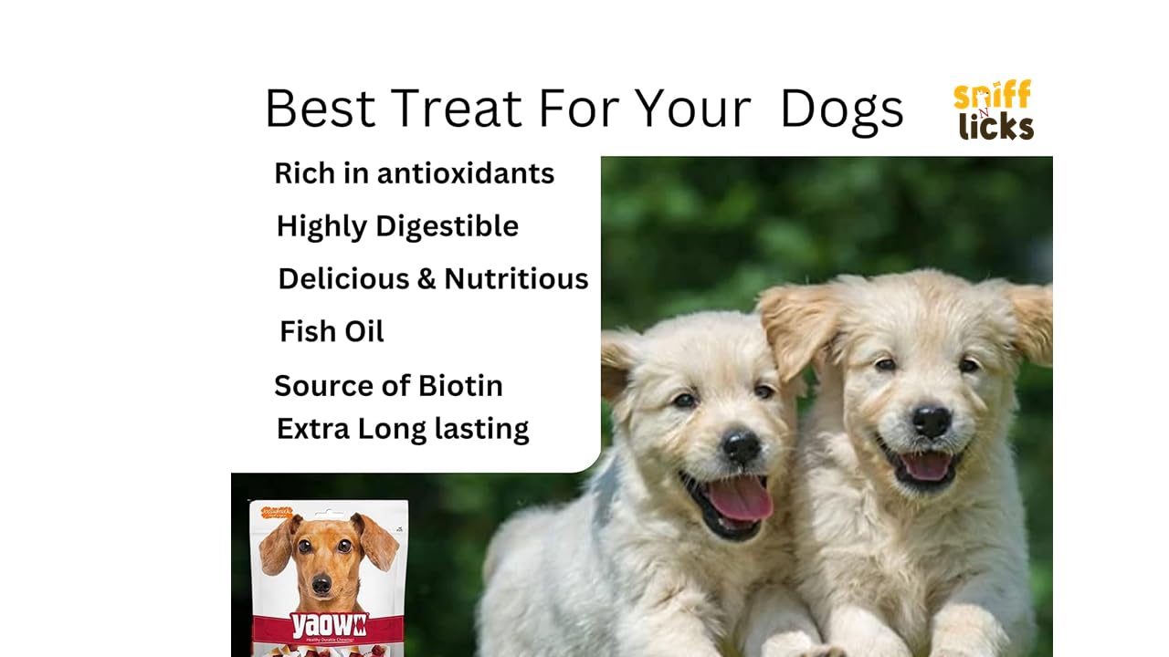 Gnawlers Yaowo Braided Dog Treats (2.5 inch) 500g (Pack of 1) By Sniff N Licks