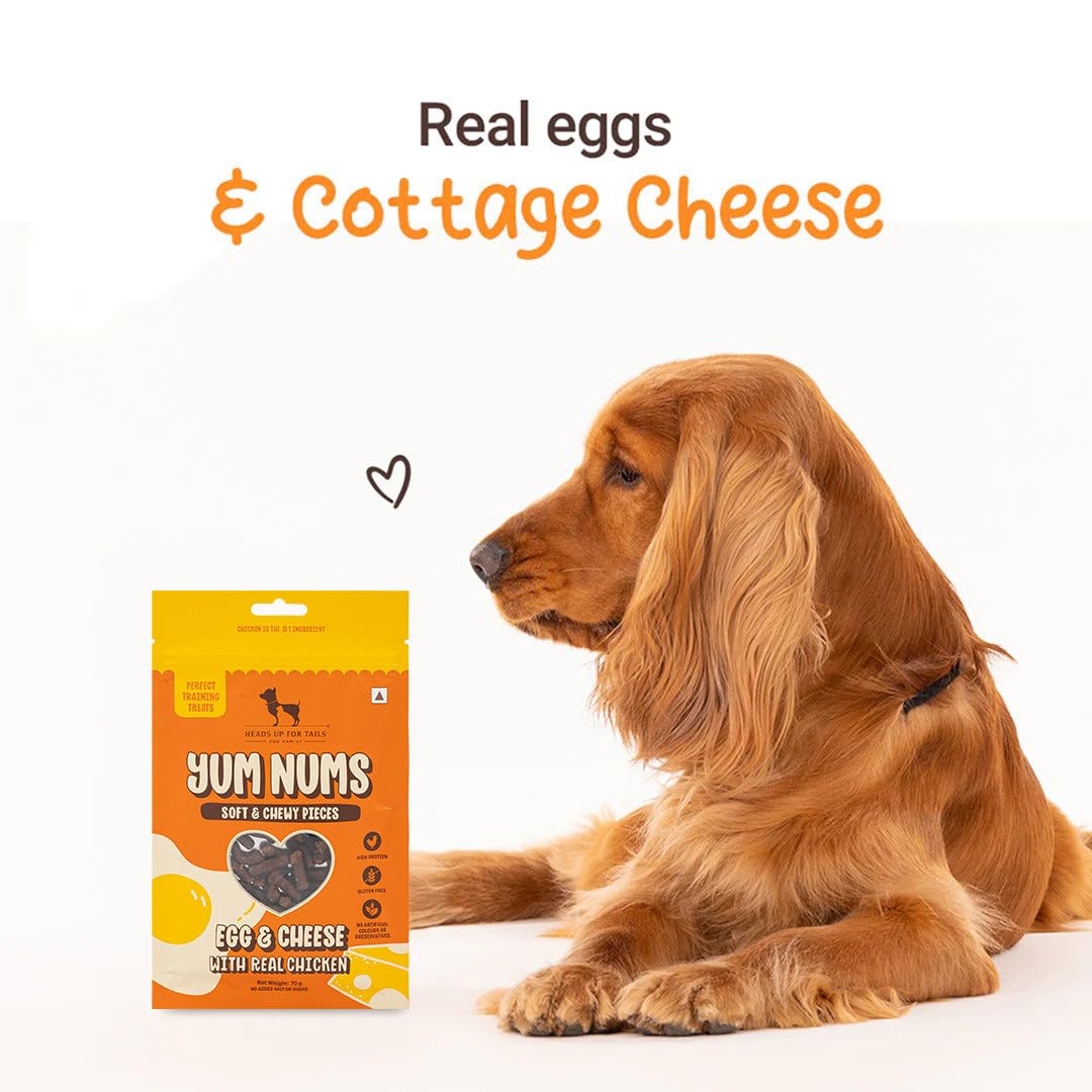 Yum Nums by HUFT Soft & Chewy Sticks - 200 gm | Egg & Cheese with Chicken | Healthy Dog Treats | High-Protein, Gluten & Grain-Free | No Artificial Colors, Salt & Sugar-Free