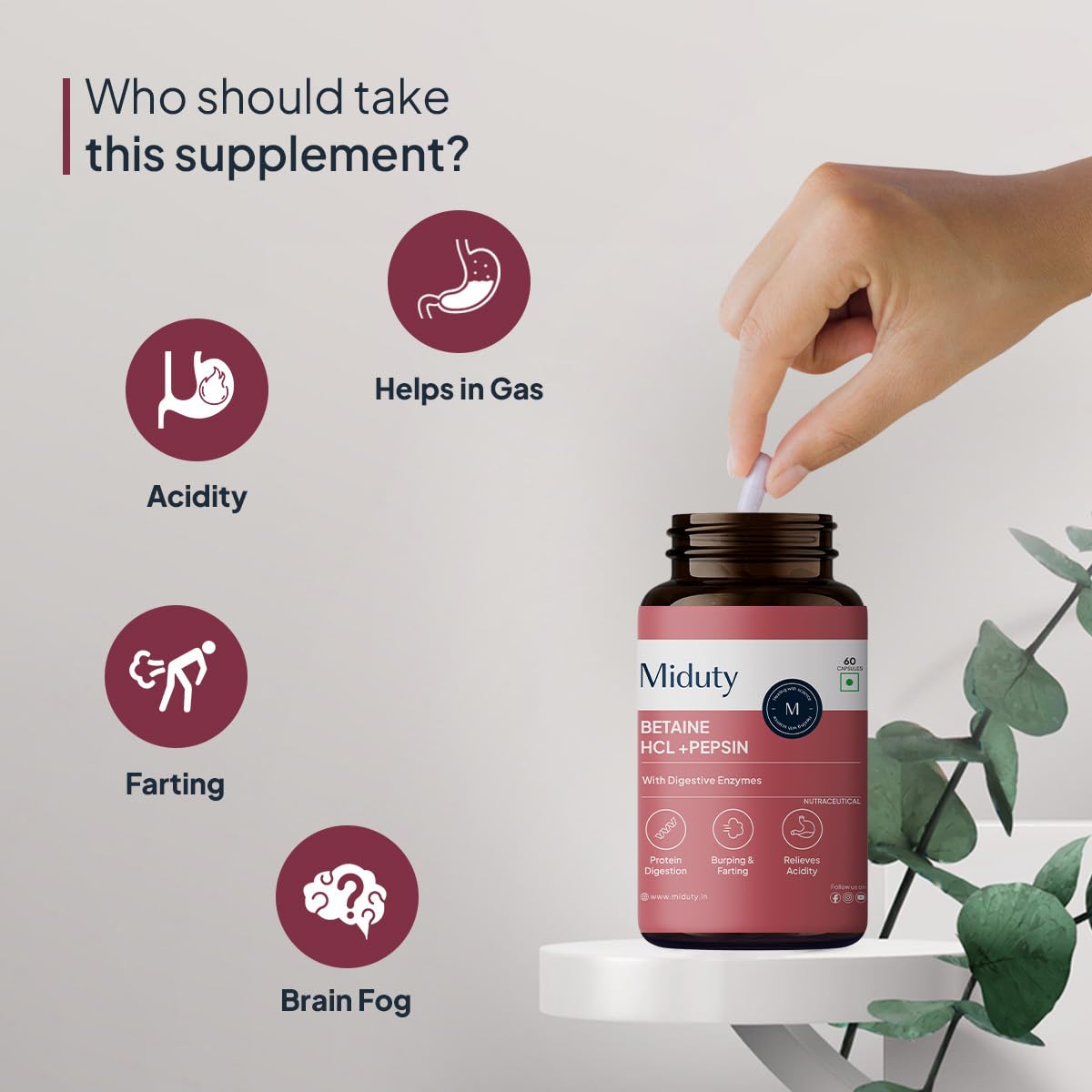 Zephivo Miduty by Palak Notes Betaine HCL + Pepsin, Betaine HCL Pepsin Capsules Pepsin for Digestion Acidity & Indigestion Betaine HCL Supplement - 60 Capsules