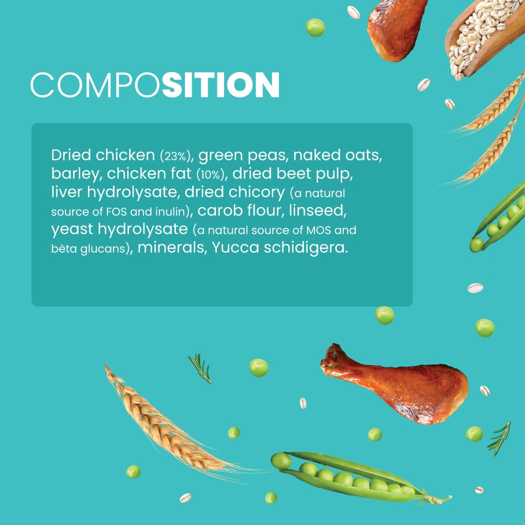 Bark Out Loud Adult Dry Dog Food, Chicken & Ancient Grains | Low Grain Dry Dog Food for Medium & Large Breeds | High Protein Kibbles with Prebiotics, Super Herbs, Antioxidants & Fibre 2 kg | Low Grain, Antioxidants Fibre, Prebiotics & Super Herbs