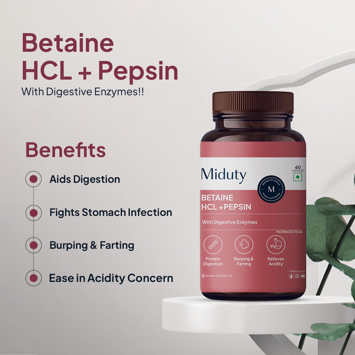 Zephivo Miduty by Palak Notes Betaine HCL + Pepsin, Betaine HCL Pepsin Capsules Pepsin for Digestion Acidity & Indigestion Betaine HCL Supplement - 60 Capsules
