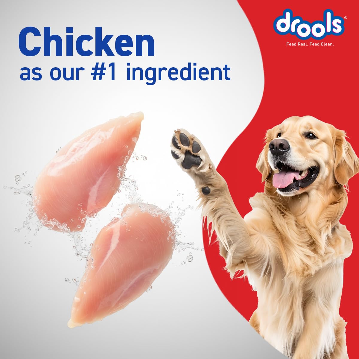 Drools Adult Dry Dog Food 1.2kg | Chicken & Egg Flavour | Omega 3 & 6 for Growth | Better Digestibility | Supports Joint Health