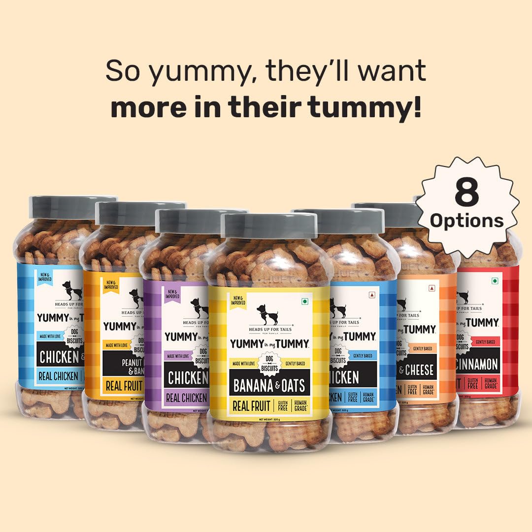Yummy in My Tummy by HUFT Banana & Peanut Butter Dog Biscuits – 800 gm | Crunchy & Healthy Treats for Dogs | High-Protein Snack | Ideal Training Treat | Suitable for All Life Stages & Breeds Dogs