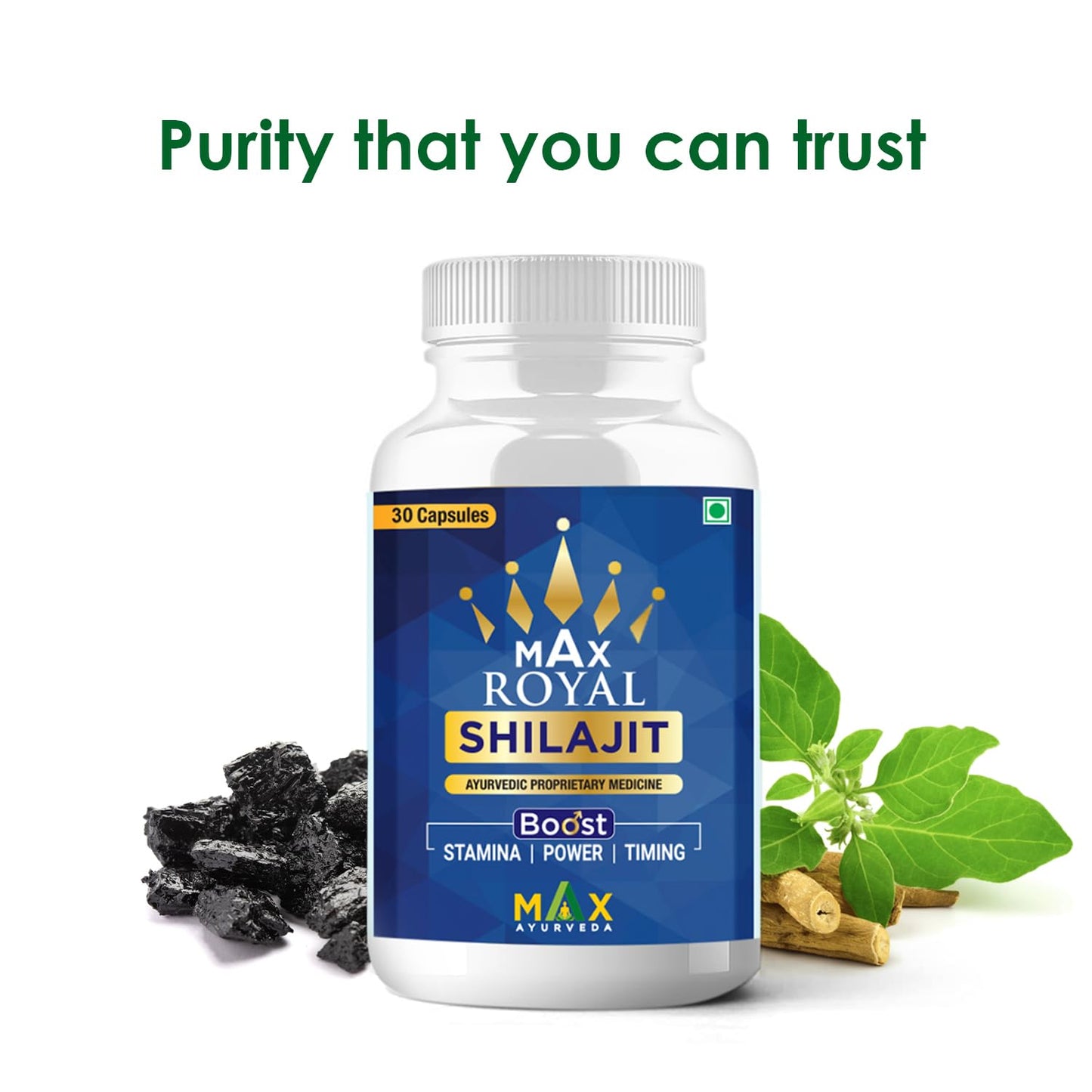 Max Ayurveda Royal Shilajit Capsule | 30 Capsules | Pure Himalayan Shilajeet Extract | Supports Immunity, Strength, Stamina, and Energy Levels | Premium Ayurvedic Supplement for Men