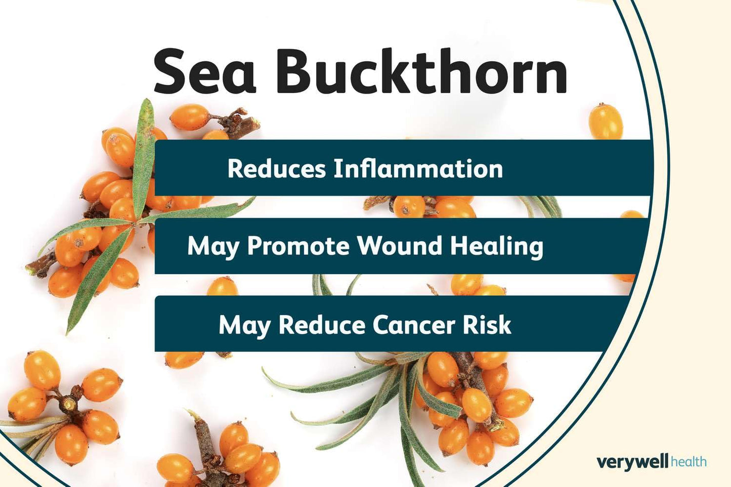 Namo Organics - 500g Himalayan Sea buckthorn Dry Berry – Natural, Sun-Dried, Rich in Omega 3,6,7 and 9, & Vitamin C, E | Dried Seabuckthorn Berries | No Added Sugar or Preservatives
