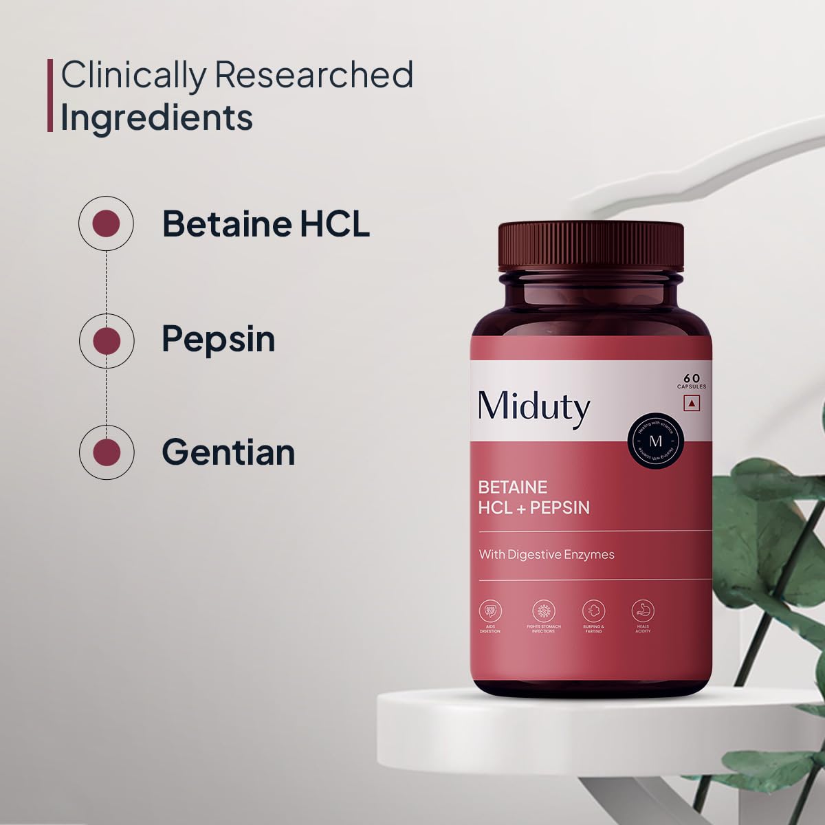 Zephivo Miduty by Palak Notes Betaine HCL + Pepsin, Betaine HCL Pepsin Capsules Pepsin for Digestion Acidity & Indigestion Betaine HCL Supplement - 60 Capsules