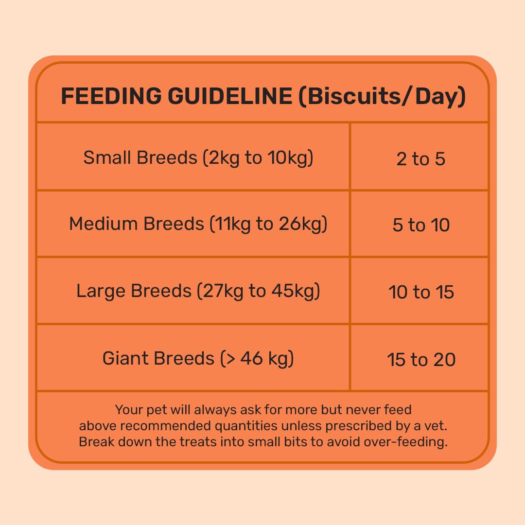 Yummy in My Tummy by HUFT Pumpkin & Carrot Dog Biscuits – 800 gm | Vegetarian Crunchy Treats for Dogs | Healthy Training Snack | Easy to Digest | Suitable for All Life Stages & All Breeds Dogs