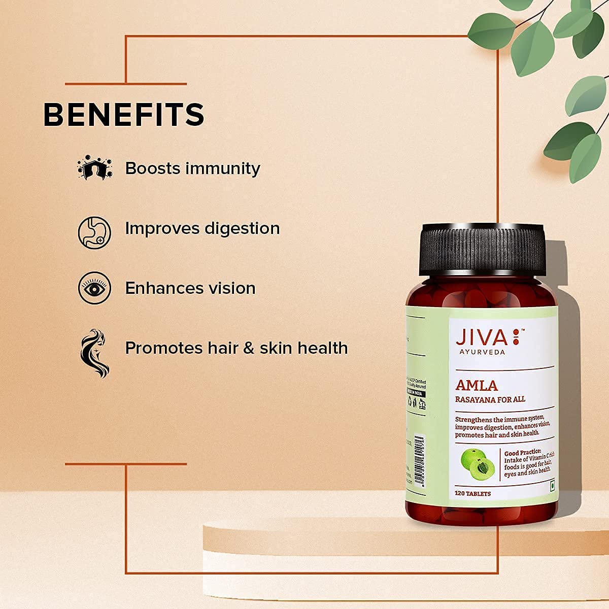 Jiva Amla Tablets 500mg | 100% Ayurvedic Tablets, Rich In Vitamin C - 60 Tablets (Pack Of 1)
