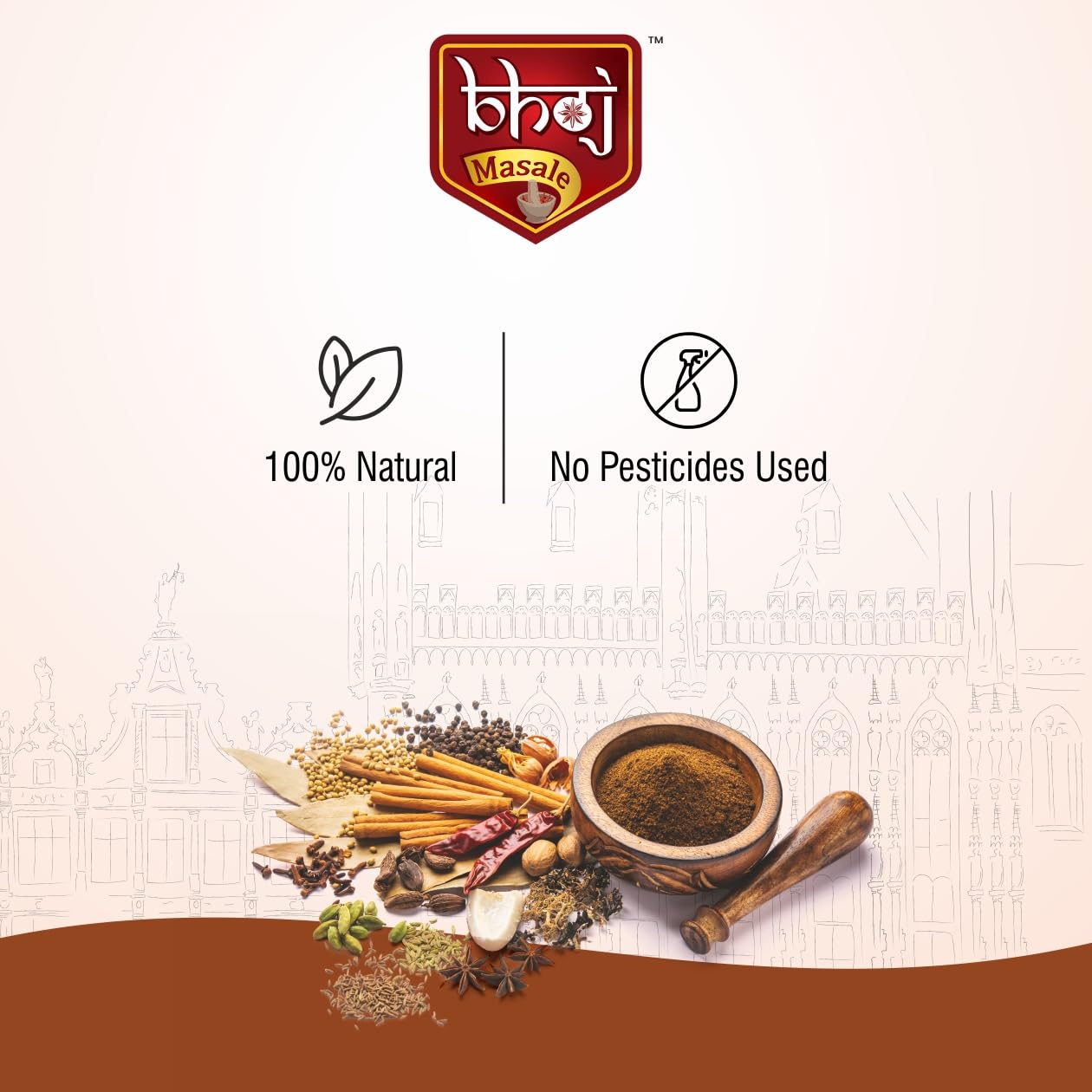Bhoj Masale Royal Garam Masala Powder- 100GM | Exotic Blend of Ingredients for Daily cooking | Aromatic | Rich in Flavor | Naturally Processed & No Preservatives. No onion and no garlic added (Jain Masala)
