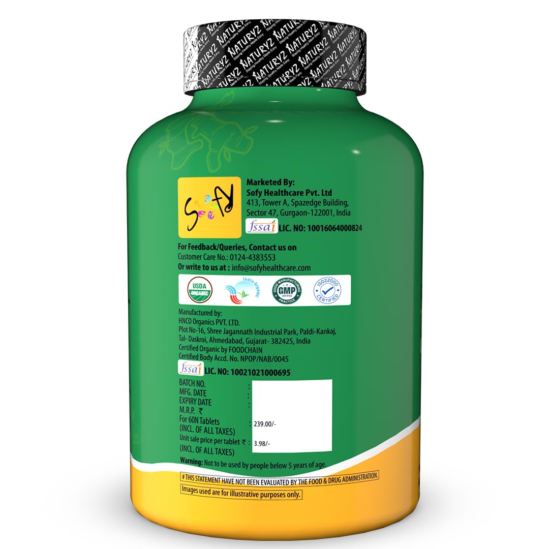 NATURYZ Organic Turmeric Highest Strength 1200mg tablets | Supports Joint, Skin Health, Immune Function | Anti inflammatory Supplement for Adults | Non-GMO, Vegan, Gluten-Free | USDA Organic Certified | Pesticides & Chemical Free - 60 Veg Tablets