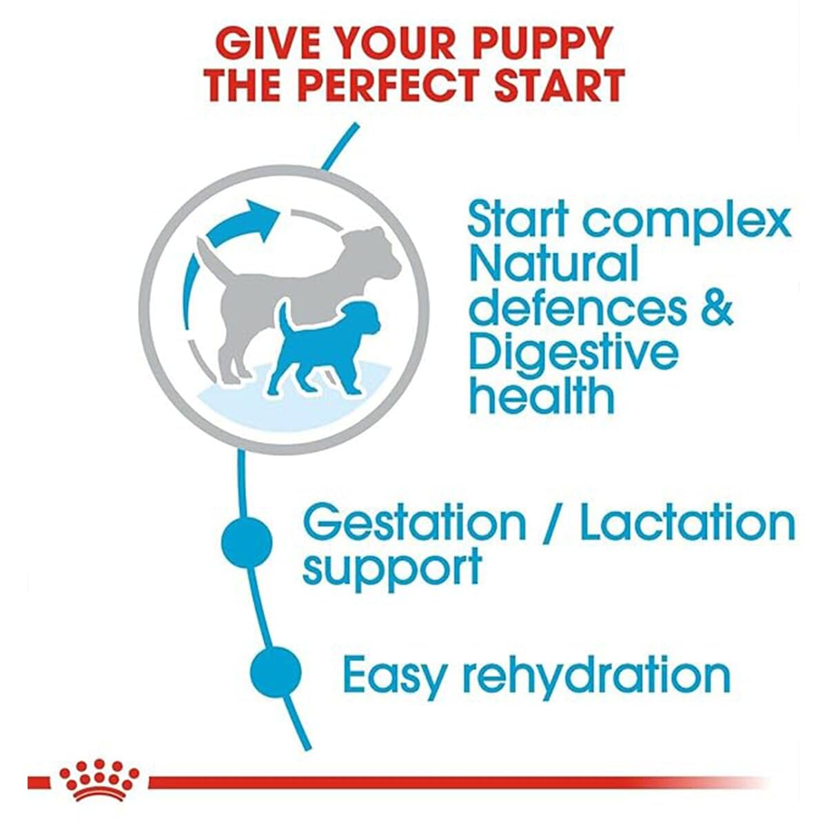 Royal Canin Mini Starter, Mother & Babdog Food, 1 Kg, Dry Food, Supports Complex Natural Defence & digestive health, Provides Gestation/Lactation Support, Supports Easy rehydration