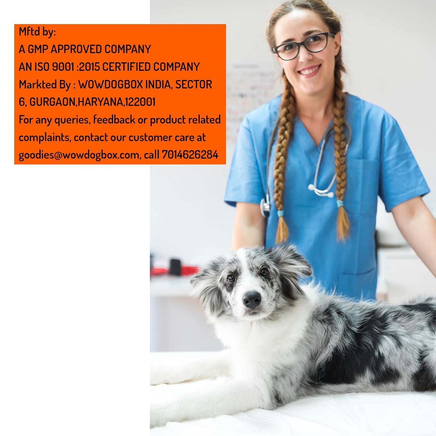 WOW DOG Digestion Supplement & Immunity Booster with Probiotic + Prebiotics Enzymes for Dogs and Cats 100 GM- Helps Relieves Diarrhea and Constipation, Reduce Gas, Helps Gut Health