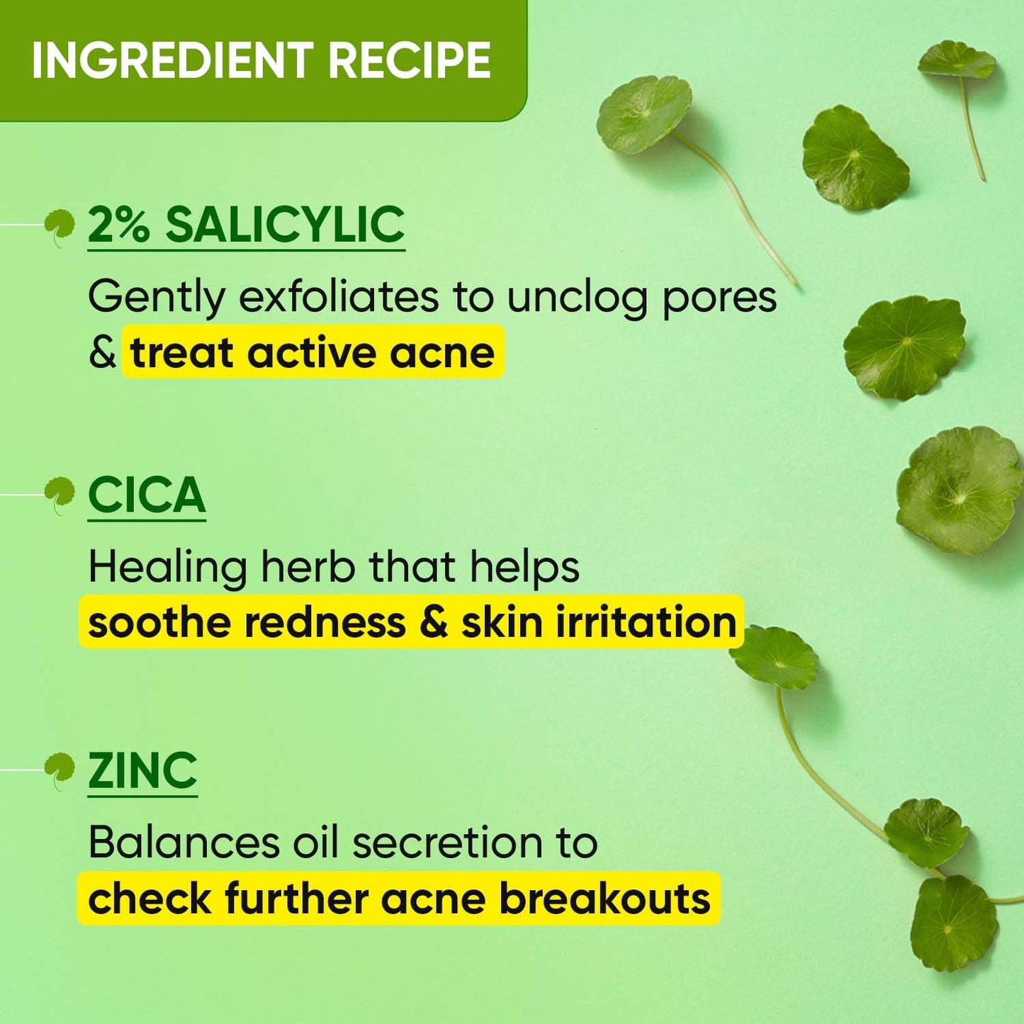 Zephivo Dot & Key 10% Vitamin C + E, 5% Niacinamide Serum | Vitamin C Serum For Glowing Skin | Fades Dark Spots | Vit C Serum with Blood Orange & Pumpkin | For Uneven & Dull Skin | For All Skin Types | 20ml