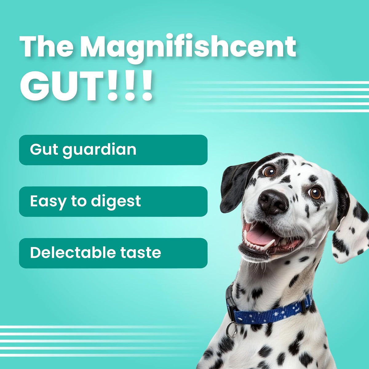 BARK OUT LOUD - Mini Fishes Dog Treats | Hypoallergenic/Grain-Free | Soft Chews with Biotin | Salmon, Peas & Aromatic Herbs | Protein-Packed Snacks for Adult Dogs (100g)