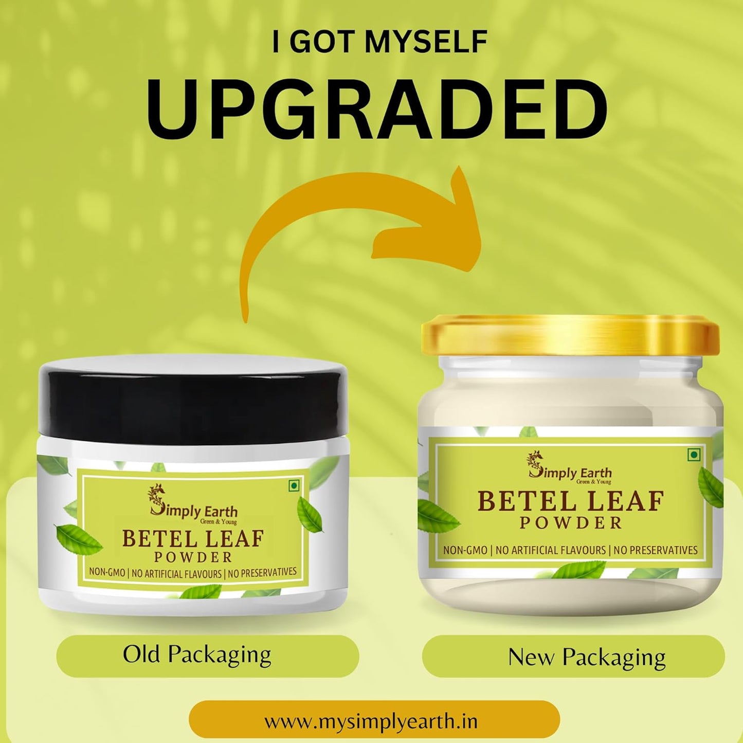Simply Earth Organic Betel Leaf Powder | Paan Leaf Powder | Vetrilai | Banarasi Paan Powder - 100 GM