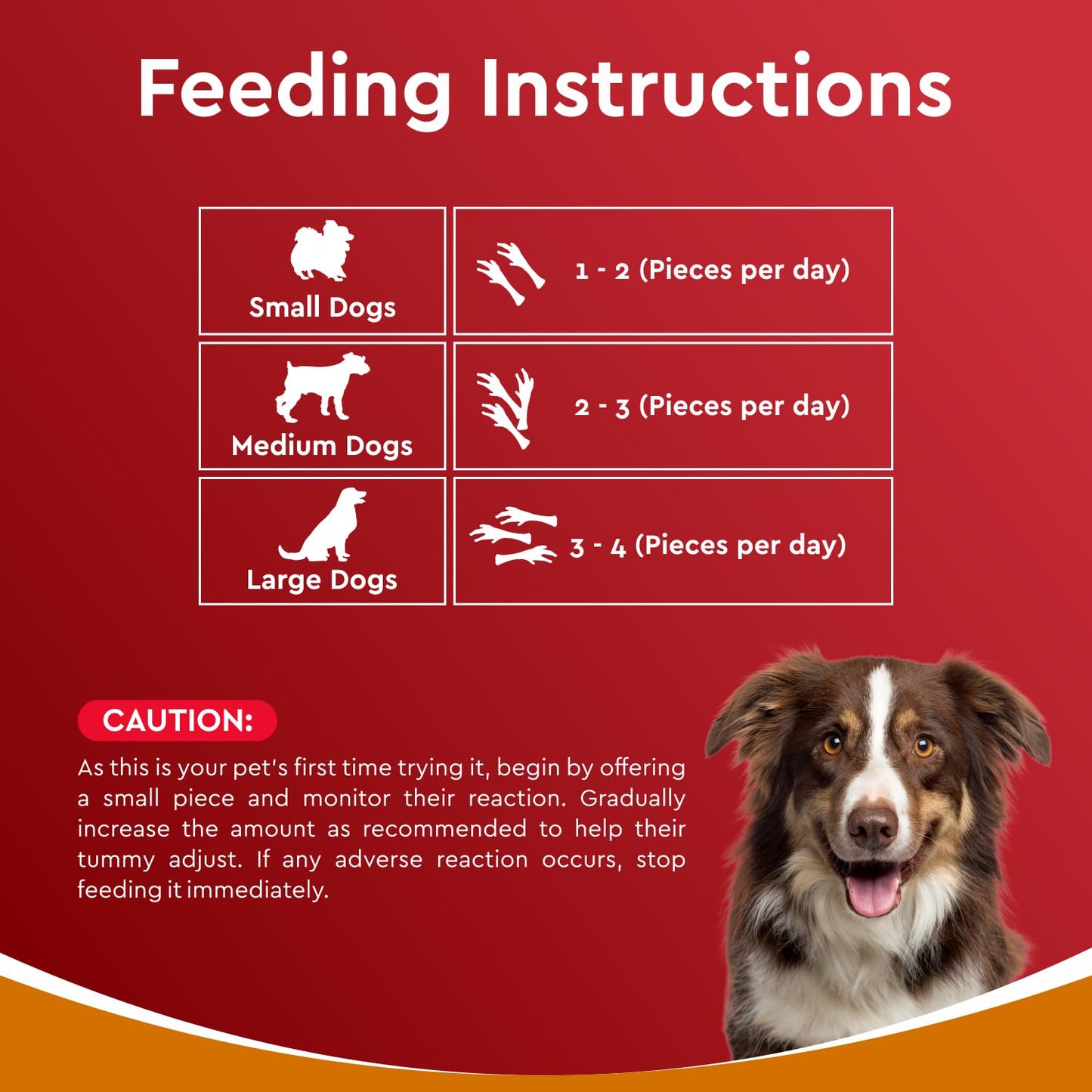 Drools Dog Treats, Dehydrated Real Chicken Chews Feet, 70g, All Life Stages, Bone