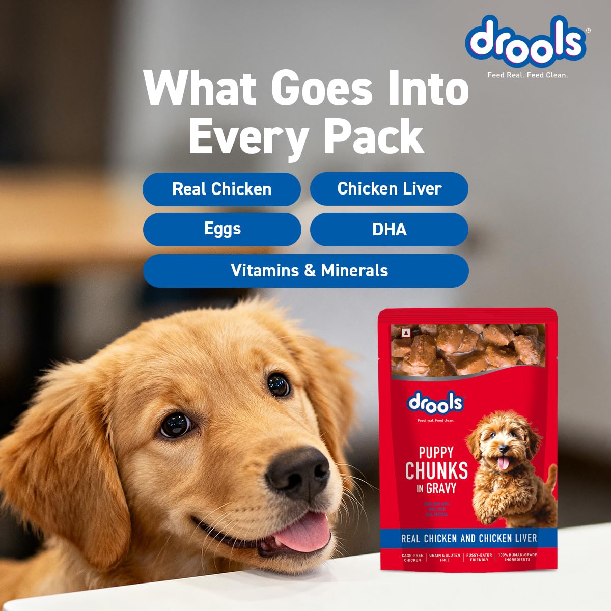 Drools Puppy Wet Dog Food 0.9kg (150g x 6 Packs) | Real Chicken & Chicken Liver Chunks in Gravy | Better Digestibility & Overall Health | Supports Healthy Skin & Coat | Maintains Joint Health