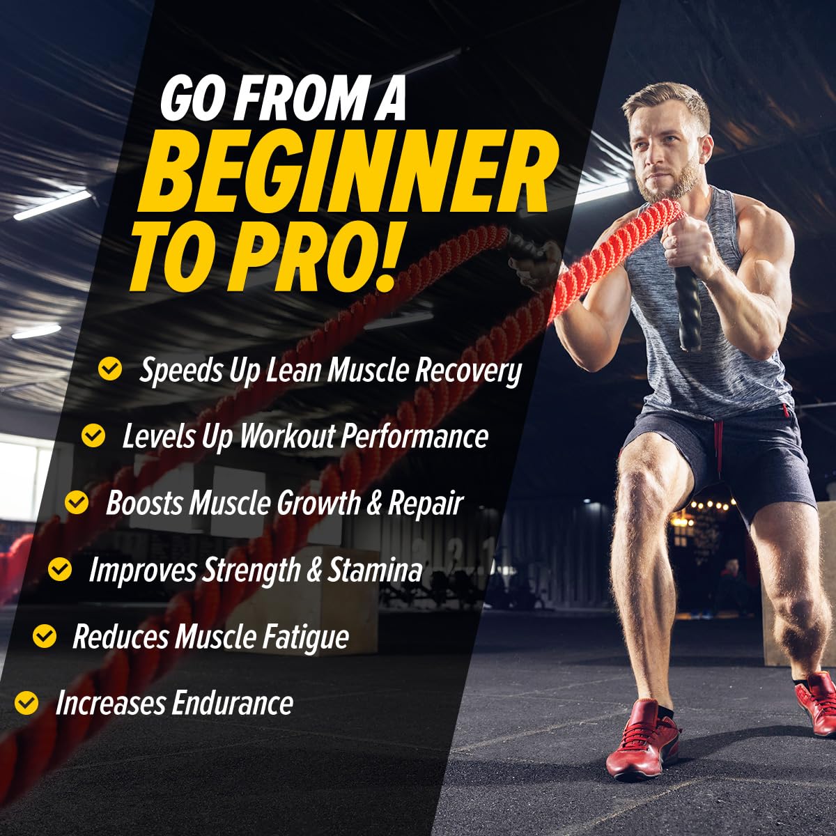 Zehivo GNC Pro Performance 100% Whey Protein Powder | Boosts Strength & Endurance | Builds Lean Muscles | Fastens Muscle Recovery | Formulated In USA | 24g Protein | 5.5g BCAA | Chocolate Fudge | 2 lbs