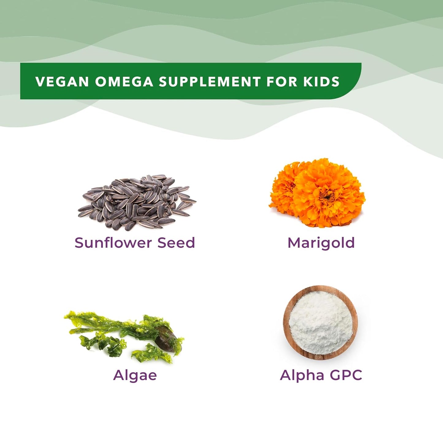 Wellbeing Nutrition Marvel Hulk Melts | Vegan Omega 3 for Kids (6+) Supports Brain Development, Concentration, Eye & Heart Health | Algae Omega 3 EPA DHA | Strawberry Mint Flavor (30 Oral Strips)