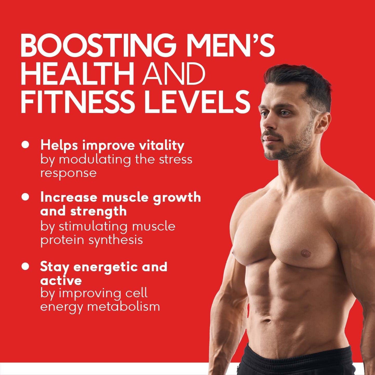HealthKart HK Vitals Perform (60 Capsules) | With Ashwagandha, Safed Musli, Gokshura, & Shatavari | For Energy, Stamina, & Muscle Strength