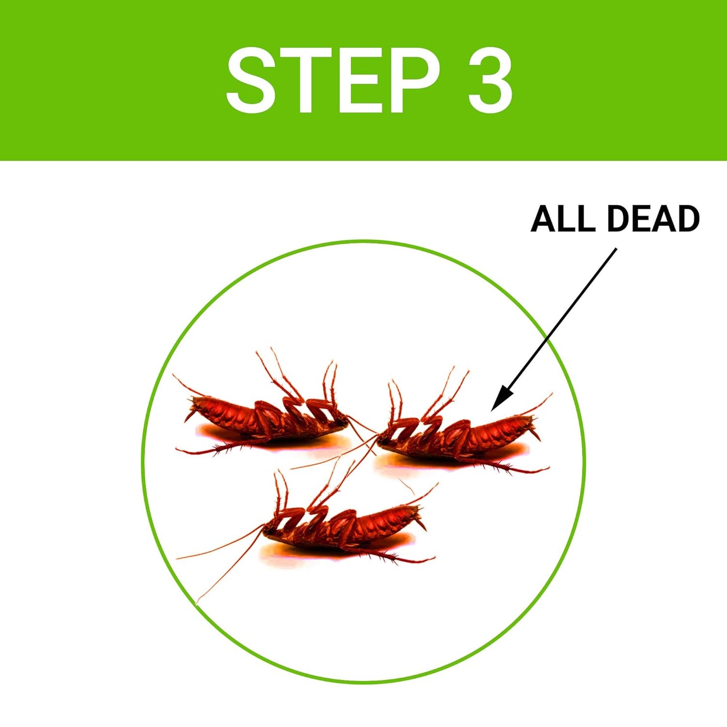 Cockroach Dot | Anti Cockroach gel with Neem extract(40gram) | Roach control | gel Bait with Easy to Use Injection