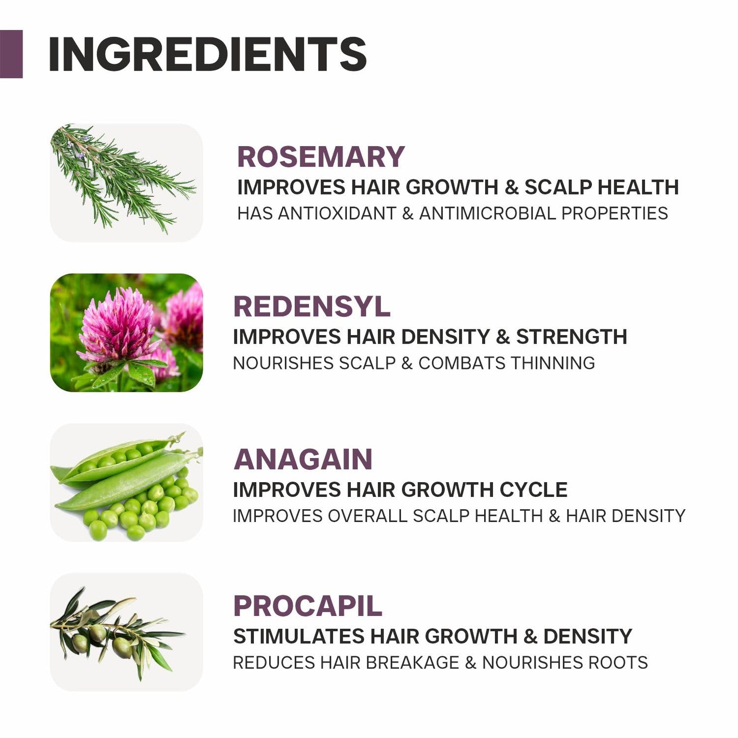 DERMATOUCH Rosemary Water Spray For Hair Growth (50 ml) | Advance 2% Actives Rosemary, Redensyl, Anagain + Procapil Spray Mist for Fall Control, Stimulates Hair Growth, Adds Shine, Strengthens
