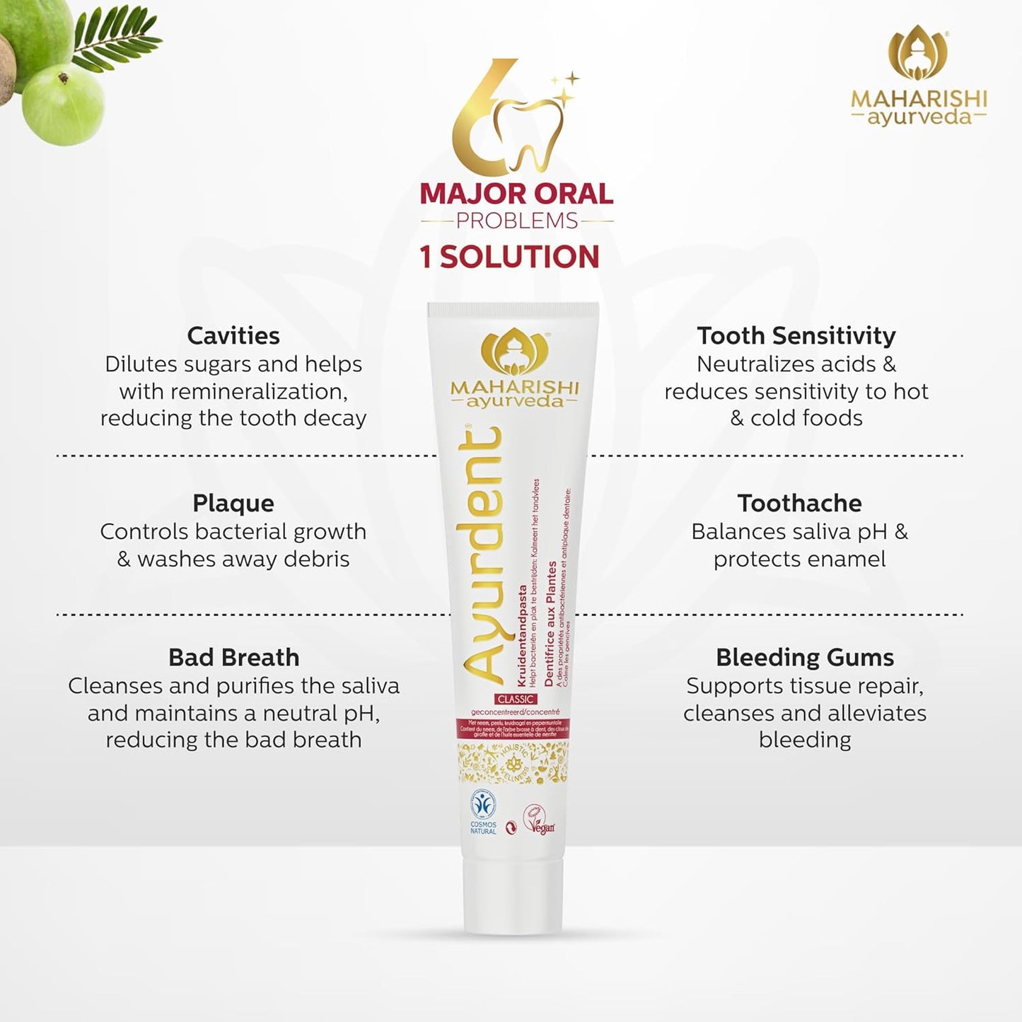 Zephivo Maharishi Ayurveda Ayurdent Toothpaste, Unique Saliva Balancing Formula, for Toothache, Bleeding Gums, Sensitivity, Cavities, Plaque & Bad breath, Non Foaming, No SLS & Fluoride