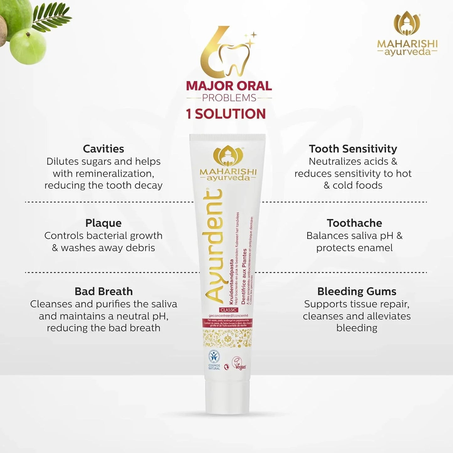 Zephivo Maharishi Ayurveda Ayurdent Toothpaste, Unique Saliva Balancing Formula, for Toothache, Bleeding Gums, Sensitivity, Cavities, Plaque & Bad breath, Non Foaming, No SLS & Fluoride