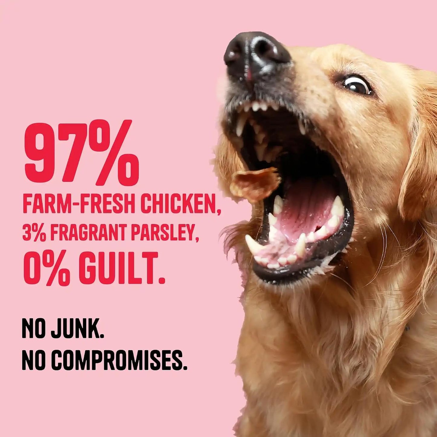 Muttley Crew Dog Jerky Lean Chicken Meat | Healthy Adult Dog Treats for Easy Digestion | All Natural | Grain-Free | Gluten-Free | No Preservatives | No Artificial Flavour (50 Grams)