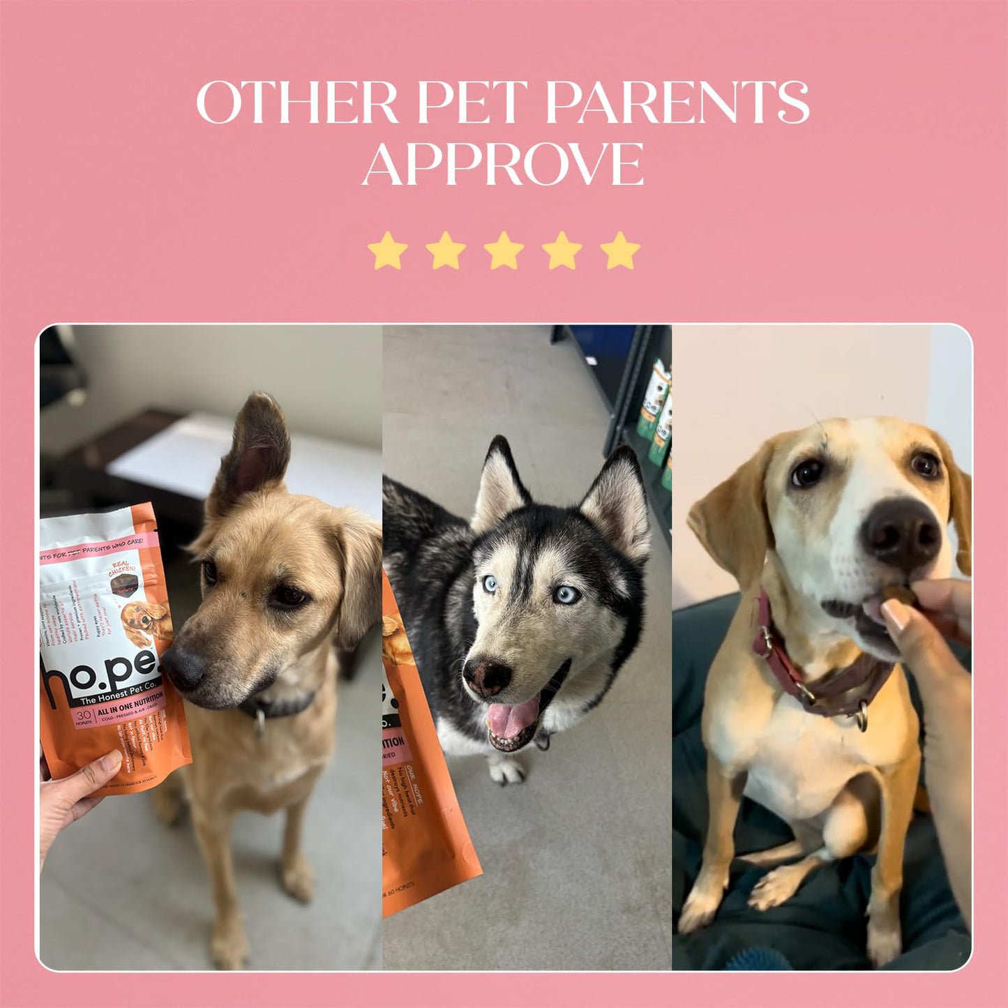 Hope All in One 14-in-1 Supplement Chews for Dog 30 Chicken hoplets |Multivitamins, Joint Support, Probiotics, Biotin, Omega 3 & 6| Pet Chews for Absolute Wellness | ColdPressed, Hypoallergenic