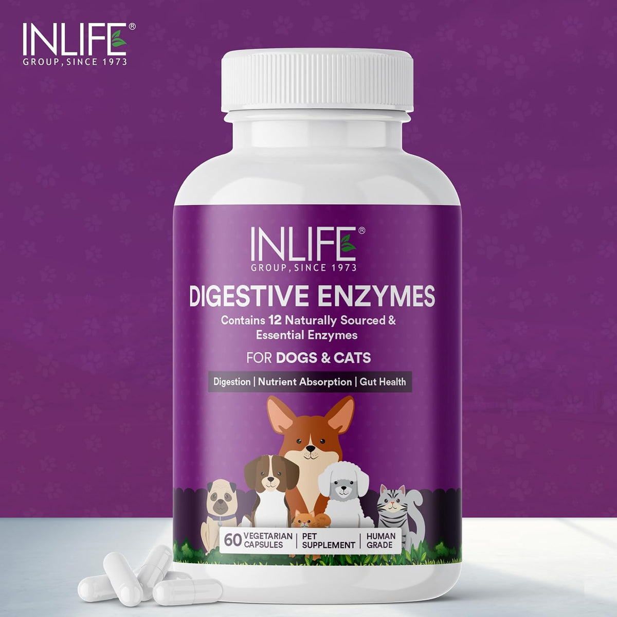INLIFE Digestive Enzymes for Dogs Cats and Pets | Contains 12 Naturally Sourced & Essential Enzymes - 60 Vegetarian Capsules
