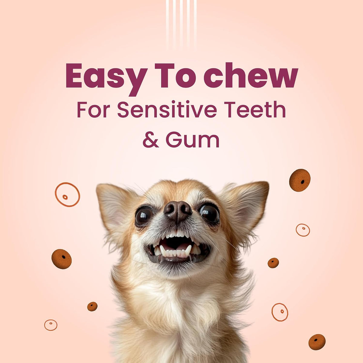 Bark Out Loud Soft Chews Chicken Rings Dog Treats | Prebiotics, Omega Fatty Acids & Vitamins | No Added Sugar | Premium Dog Snacks for All Life Stages | Healthy & Digestive Treats for Dogs - 100g