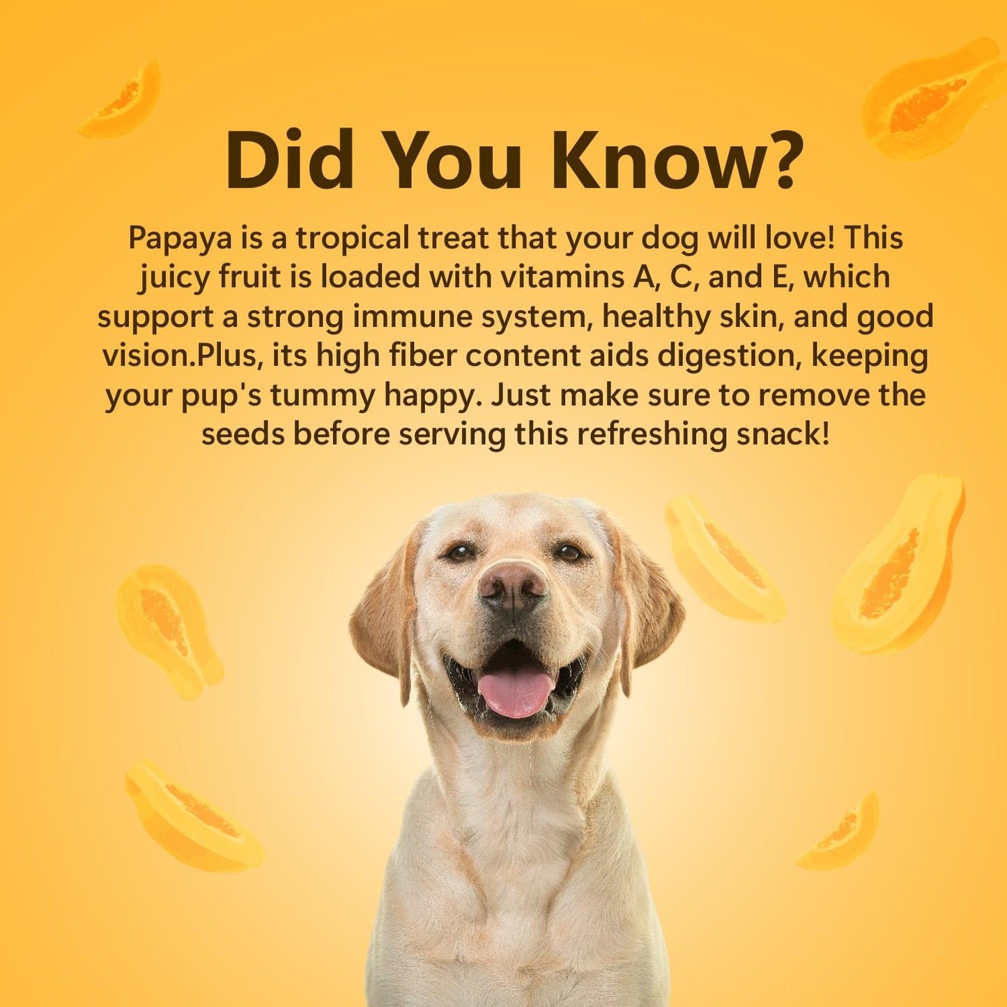 Pawfect Treats Nature's Munch Freeze-Dried Dog Treats Papaya Treats | Supports Digestion, Promotes Healthy Coat and Skin | Healthy Treats for Dogs | Dog Training Treats (40g) Pawfect