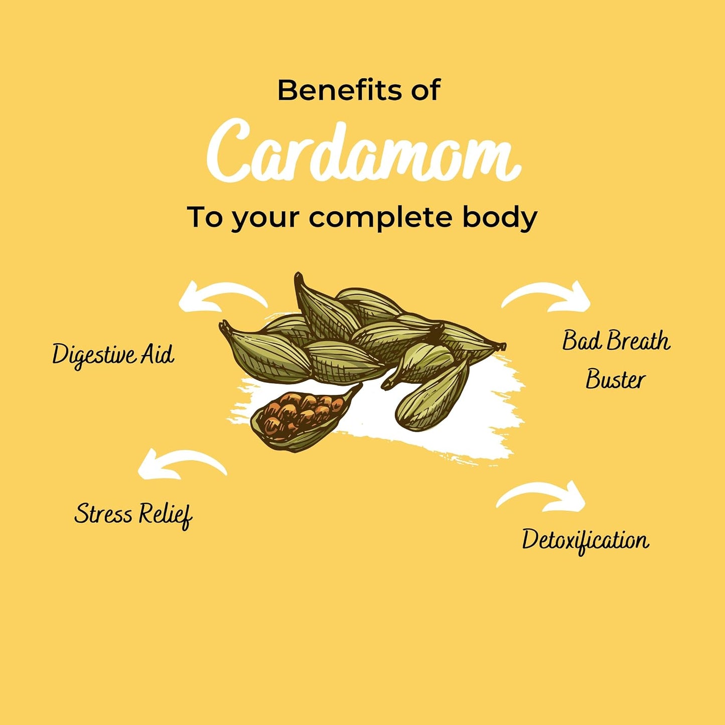 GOURMET HEALTH IMPRESSIONS | Superior Grade Whole Green Cardamom (Elaichi) - 8MM BOLD Size | Large Size | Aromatic Green Pods, Non-GMO - Perfect for Culinary & Aromatic Uses | GHI Foods
