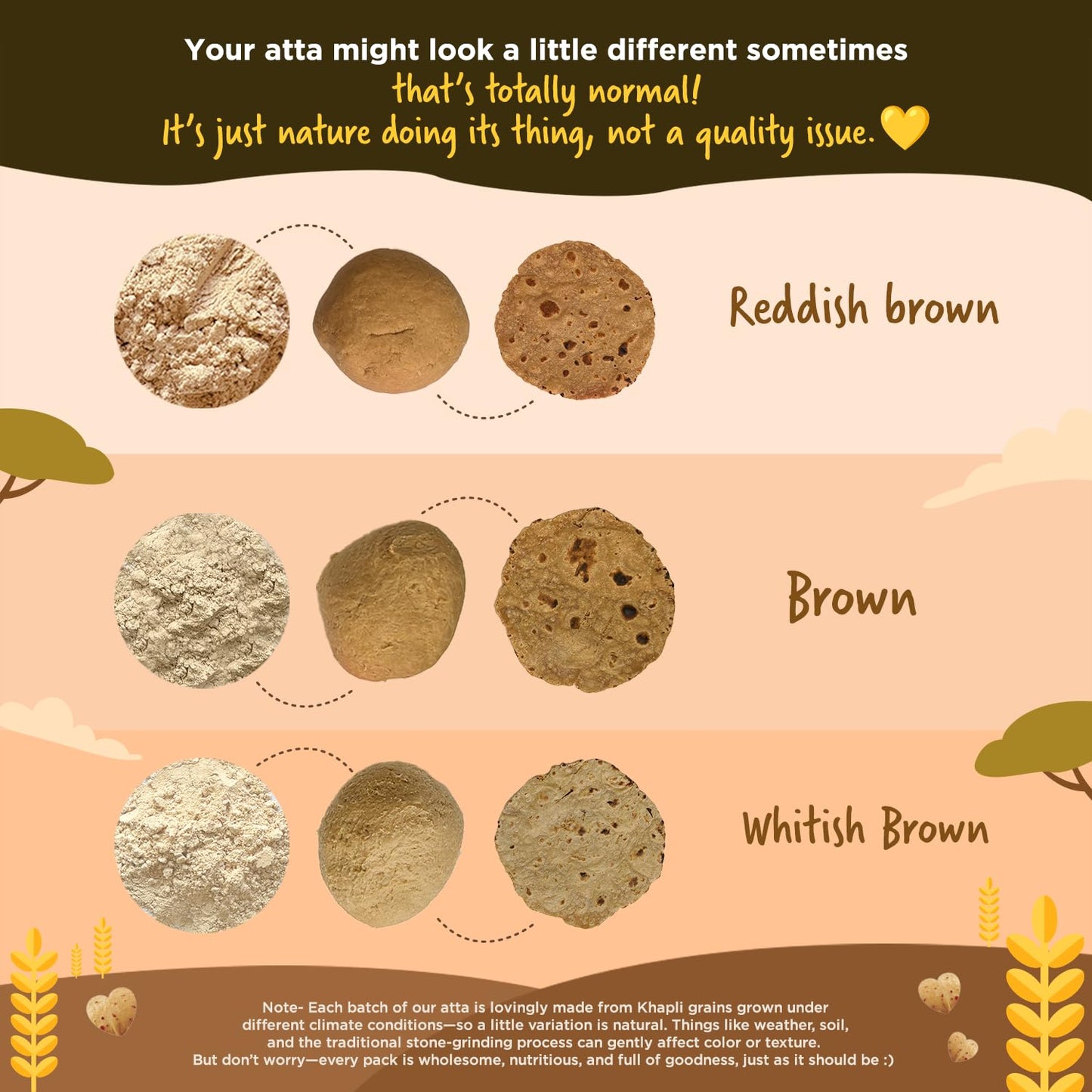Two Brothers Organic Farms - Khapli Wheat Flour (1 kg) | High Dietary Fiber for Easy Digestion | Stoneground Emmer Wheat Flour | Khapli Atta
