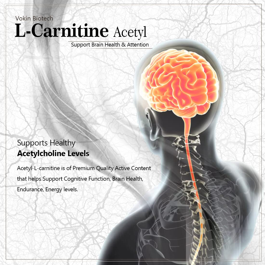Advertisement for Vokin Biotech L-Carnitine Acetyl with a brain illustration on a gray background