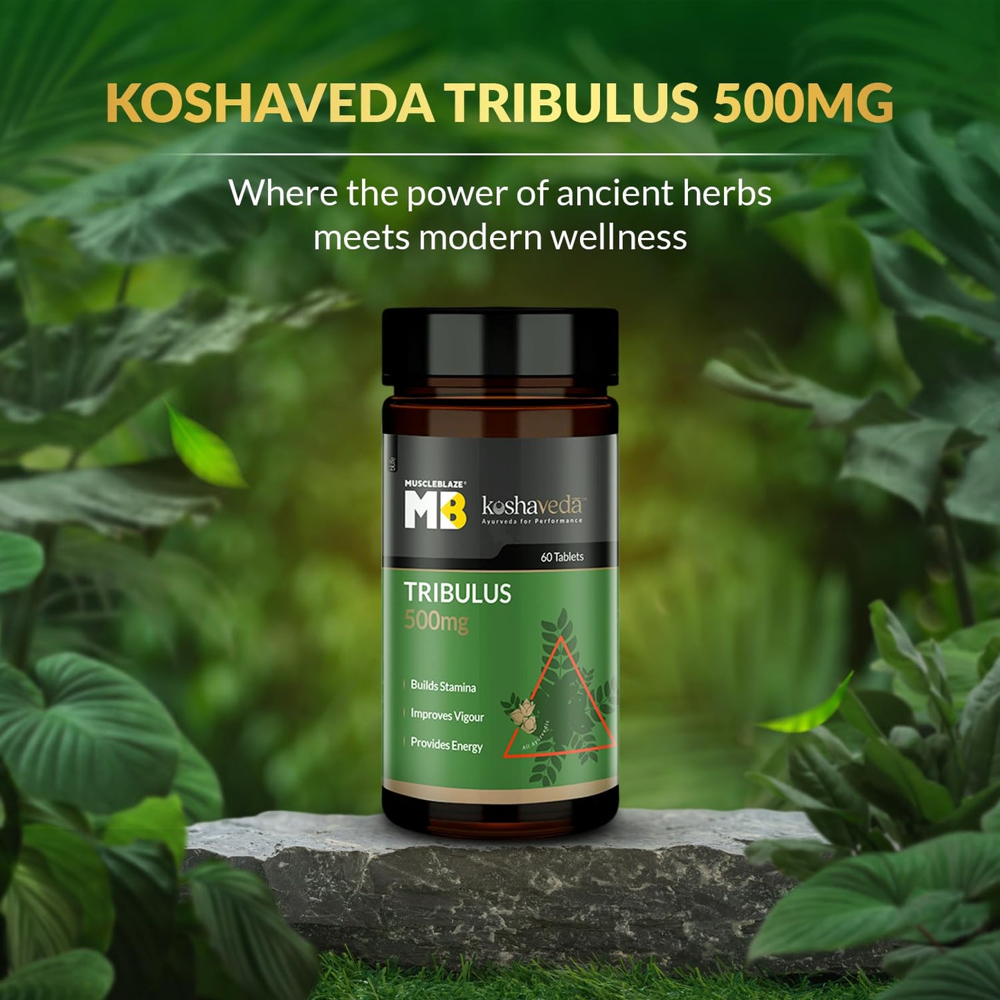 MuscleBlaze Koshaveda Tribulus 500mg (60 Tablets) | Ayurveda for Performance