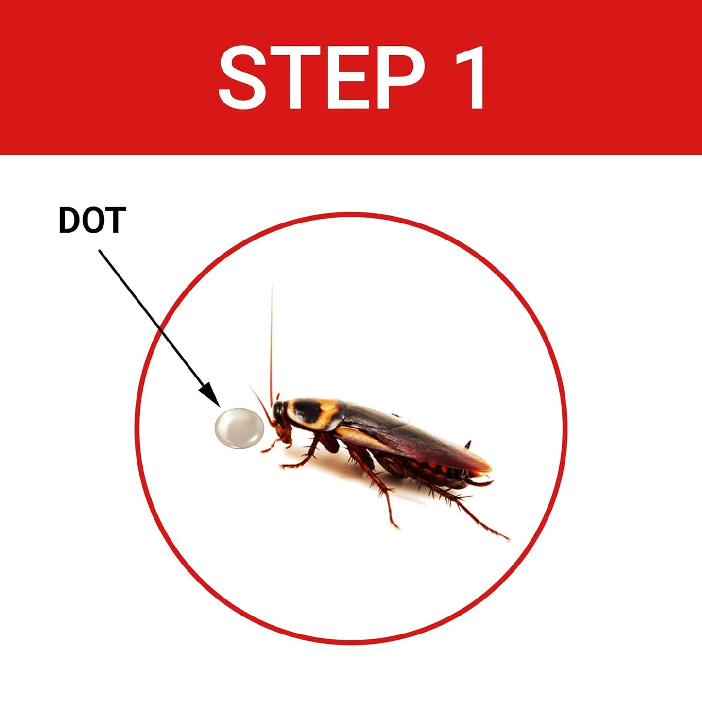 Cockroach Dot Cockroach Killer - Pest Control (Anti Cockroach Gel - Pack Of 1-20 Gms)