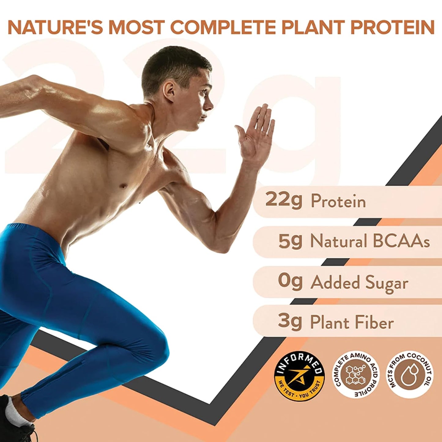Zephivo Wellbeing Nutrition Organic Vegan Plant Protein Isolate Powder | 22g Protein, 5g BCAA European Pea & Brown Rice Protein | Superfoods, Fiber for Muscle Growth & Recovery | Dark Chocolate - 500gm