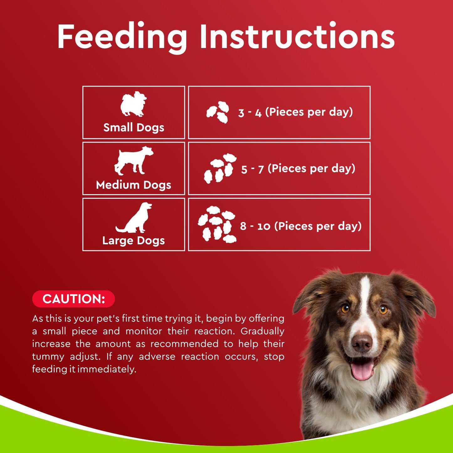 Drools Puppy & Adult Dog Treats Dehydrated Chews Giblets 70g | Real Chicken Flavour | Vital Nutrients | Digestive Health | Protein-Packed | Tasty & Nutritious