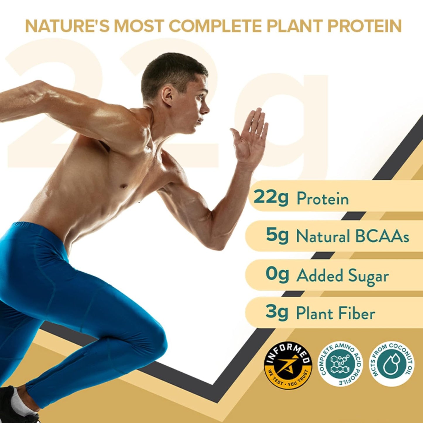 Wellbeing Nutrition Organic Vegan Plant Protein Isolate Powder | 22g Protein, 5g BCAA European Pea & Brown Rice Protein | Superfoods, Fiber for Muscle Growth & Recovery | Italian Cafe Mocha - 500gm