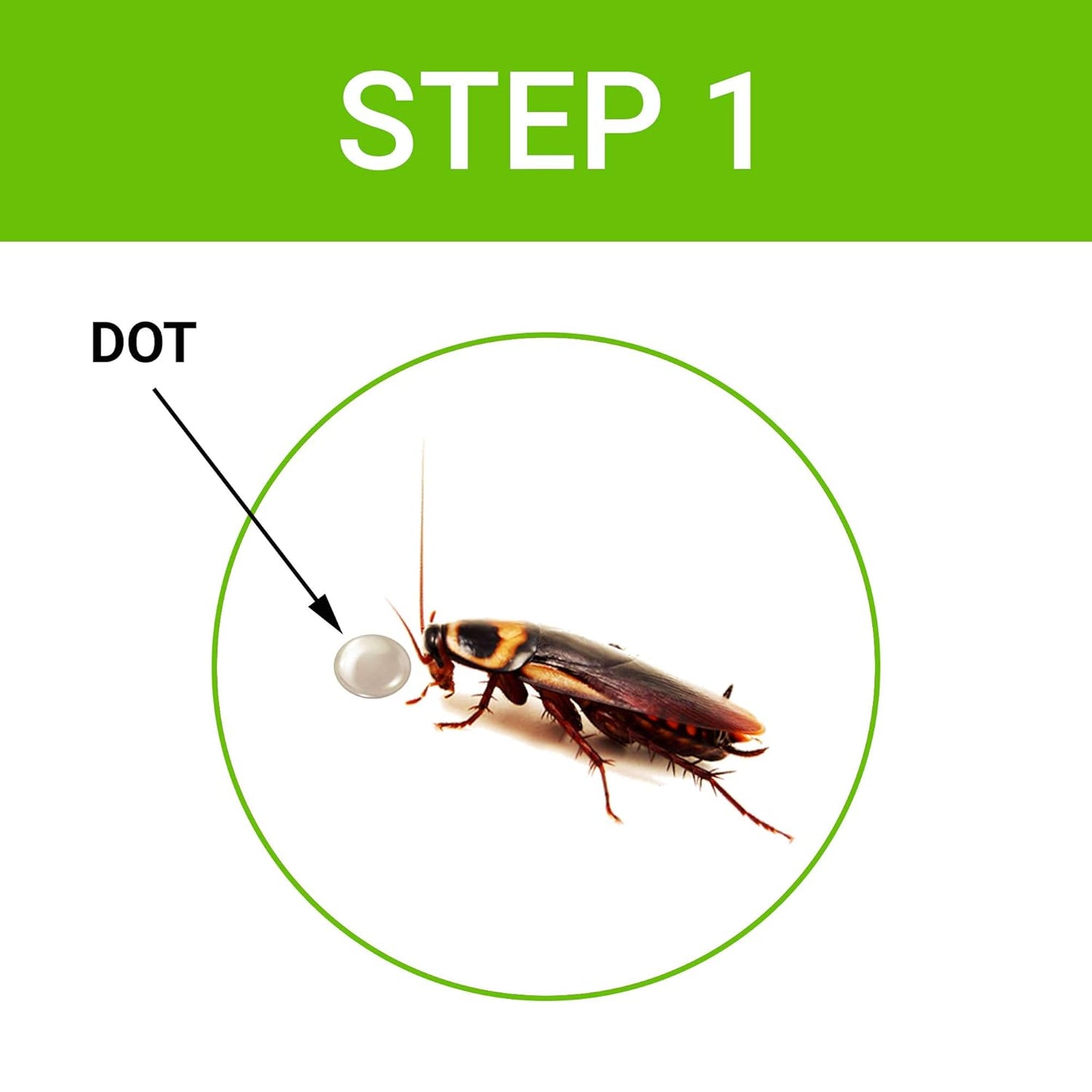 Cockroach Dot | Anti Cockroach gel with Neem extract(40gram) | Roach control | gel Bait with Easy to Use Injection