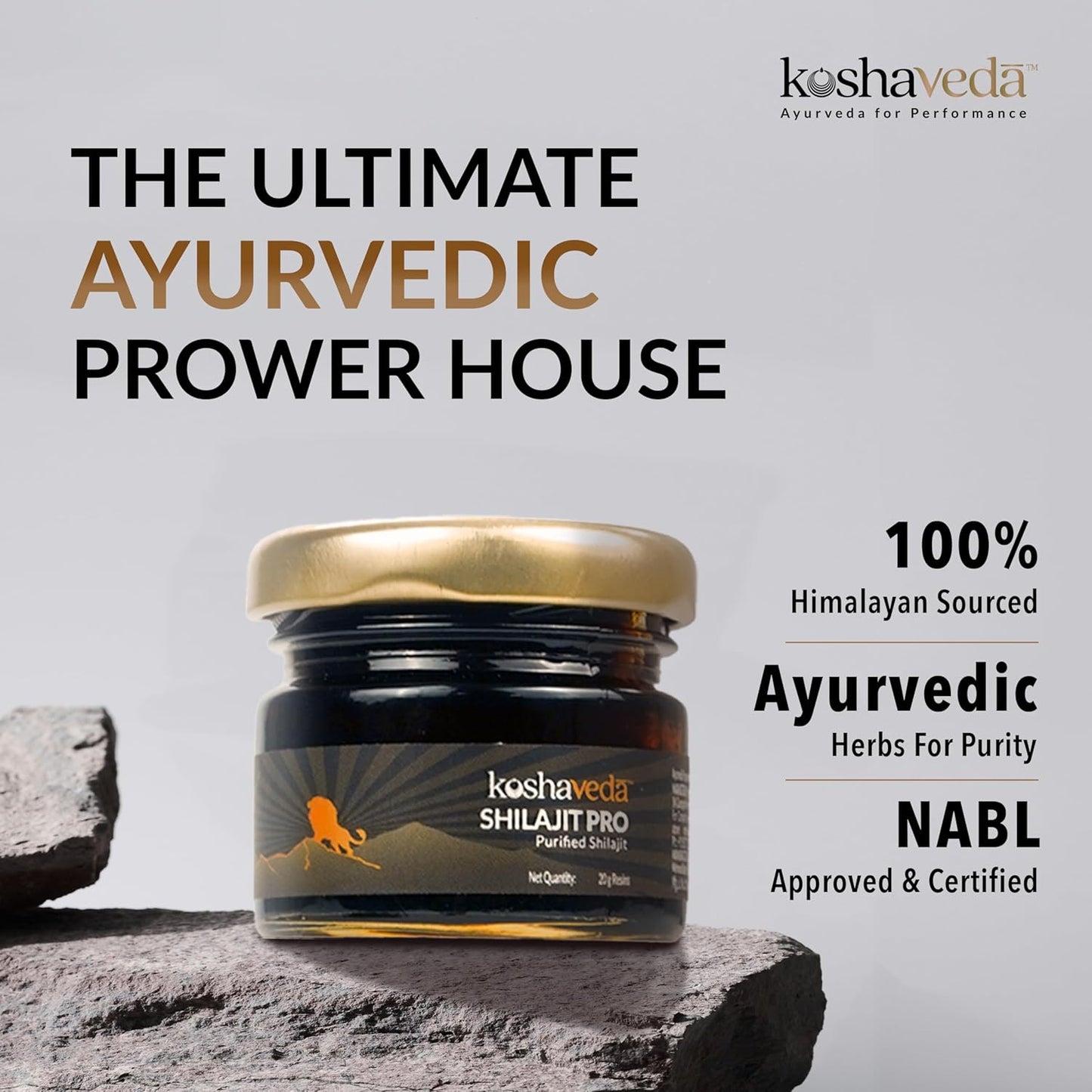 MuscleBlaze Koshaveda Shilajit Pro by (20g Shilajit Resin) | For Strength, Stamina & Endurance