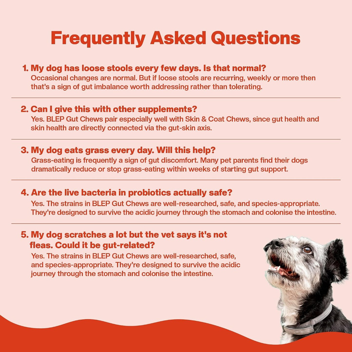 BLEP Super Gut Booster - Dog Probiotic Soft Chew Supplement, Gut Health, Loose Stool, Gas, Diarrhea & Itchy Skin | Pre, Pro & Postbiotics + Digestive Enzymes | 9 Probiotic Strains, 5B CFU | 60g
